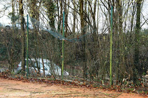 2018 01 23 Sturmschaden 3524