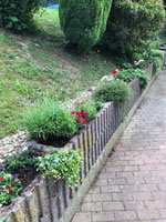 Blumenpflege Partnerschaft