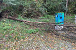 Sturmschaden